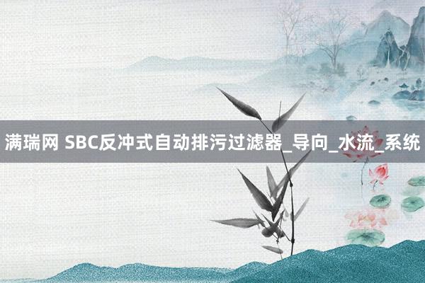 满瑞网 SBC反冲式自动排污过滤器_导向_水流_系统